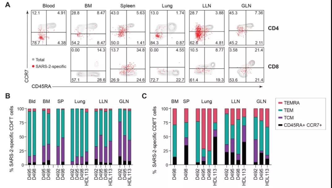 《Science》子刊：發(fā)現(xiàn)新冠感染具有長期免疫記憶，疫苗效果或可再強(qiáng)化！