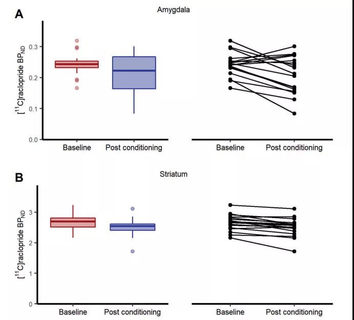 一朝被蛇咬，十年怕井繩，找到了科學依據(jù)！最新研究揭示“恐怖分子”多巴胺如何參與人類恐懼記憶形成
