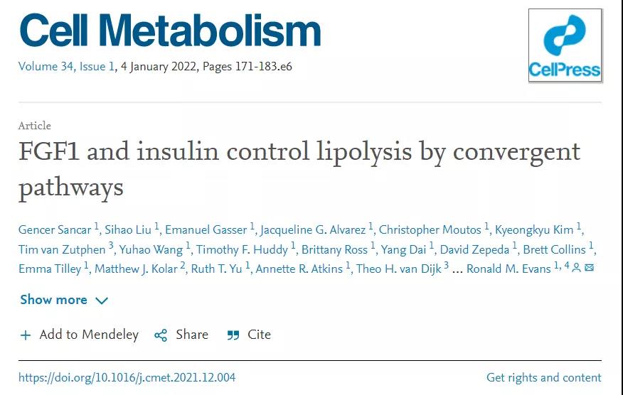 Cell子刊：糖尿病治療新突破！科學(xué)家發(fā)現(xiàn)了獨(dú)立于胰島素之外的新降糖途徑