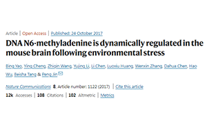 別再emo了，情緒真的能夠改變基因！