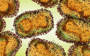 猴痘病毒新基因測序結(jié)果公布，近似于英國三年前毒株