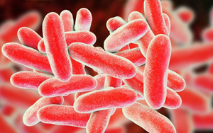 已確診19例！繼新冠和猴痘之后，美國軍團病疫情來勢洶洶