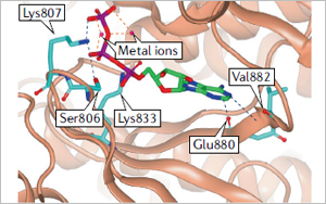 Nature子刊：PI3K抑制劑即將迎來大爆發(fā)