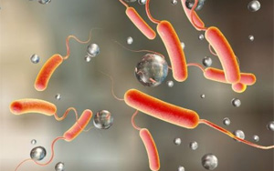 快速了解這種甲級(jí)傳染病及其預(yù)防措施