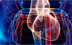 新冠導(dǎo)致糖尿病風(fēng)險(xiǎn)提高81%，心血管疾病風(fēng)險(xiǎn)增加6倍