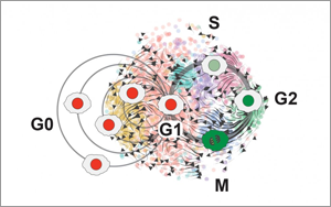 癌細(xì)胞殺不完？不如試試將腫瘤“永久休眠”！