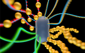 《Nature》創(chuàng)造具有逼真功能的人工細(xì)胞！