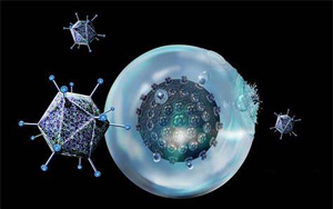 “抗癌利器”療效再提升！賓大研究團隊開發(fā)的免疫療法CAR-T再獲突破