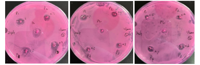 1/2000實(shí)驗(yàn)圖片