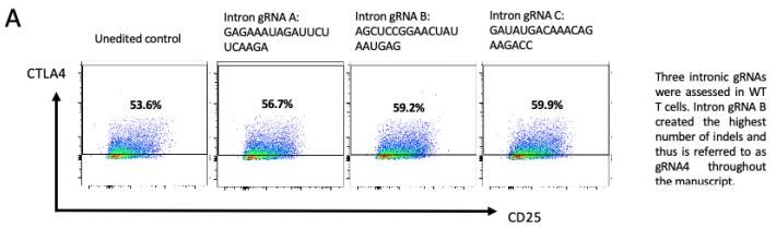  FACs圖示三種不同gRNA靶向基因內(nèi)區(qū)經(jīng)核轉(zhuǎn)染后代表性的正常CTLA-4表面表達