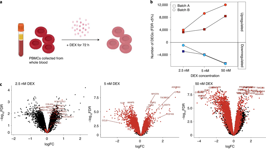 周邊血液?jiǎn)魏思?xì)胞對(duì)地塞米松的轉(zhuǎn)錄相應(yīng) 周邊血液?jiǎn)魏思?xì)胞對(duì)地塞米松的轉(zhuǎn)錄相應(yīng)