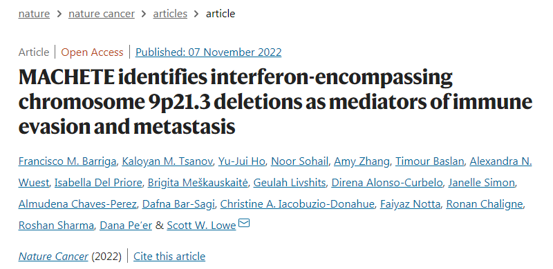 使用MACHETE，研究人員發(fā)現(xiàn)一個明顯的缺失通常會消除一組干擾素基因，導(dǎo)致胰腺癌和黑色素瘤小鼠模型的預(yù)后較差