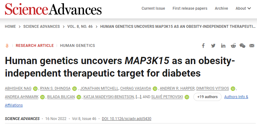 研究人員開始將MAP3K15作為糖尿病治療的潛在靶點