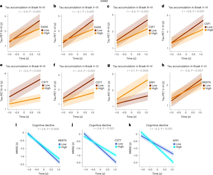 較高的DAM2標(biāo)記物可防止AD患者未來tau蛋白積累和認(rèn)知能力下降