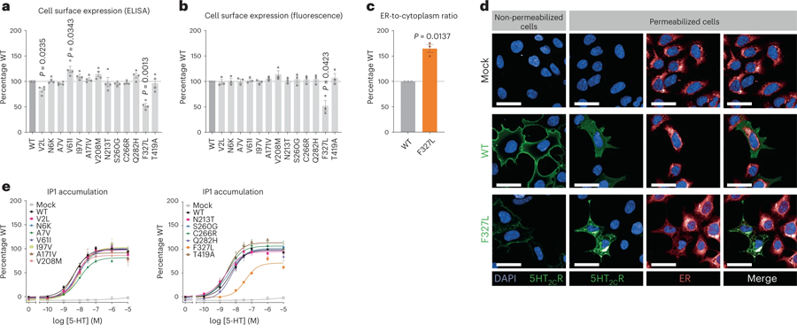 編碼5-HT2CR的基因中的人類變體導(dǎo)致細胞功能喪失