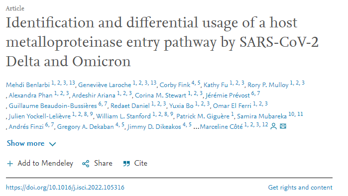 研究顯示了以前未被識別的SARS-CoV-2的進(jìn)入途徑