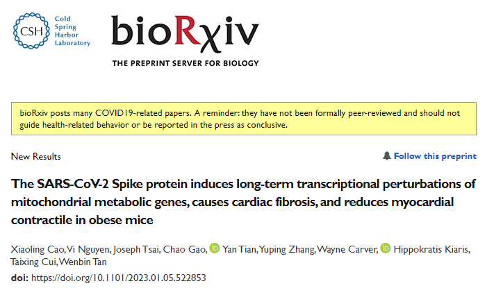 研究團(tuán)隊(duì)發(fā)現(xiàn)新冠病毒的S蛋白可誘導(dǎo)線粒體代謝基因的長(zhǎng)期轉(zhuǎn)錄抑制并導(dǎo)致心臟纖維化和心肌收縮損傷