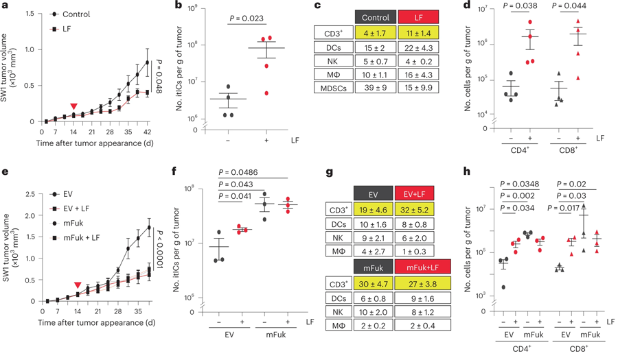 提升黑色素瘤的巖藻糖基化程度抑制了腫瘤生長(zhǎng)并增加itIC豐度