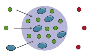 Cell新論文：基因調(diào)控關(guān)鍵機(jī)制
