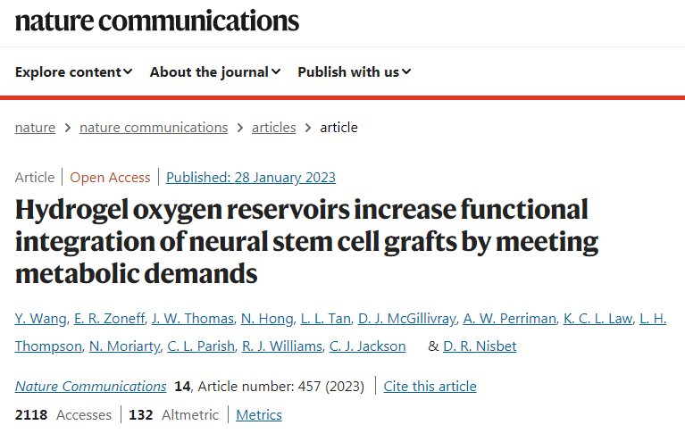 研究人員開(kāi)發(fā)了新的水凝膠可以安全地將干細(xì)胞輸送到小鼠的腦損傷部位