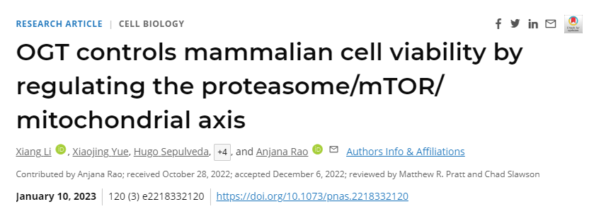 研究人員終于發(fā)現(xiàn)了一種名為O-GlcNAc轉(zhuǎn)移酶(OGT)的酶在維持細胞健康中的作用