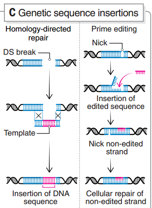 引導(dǎo)編輯的原理