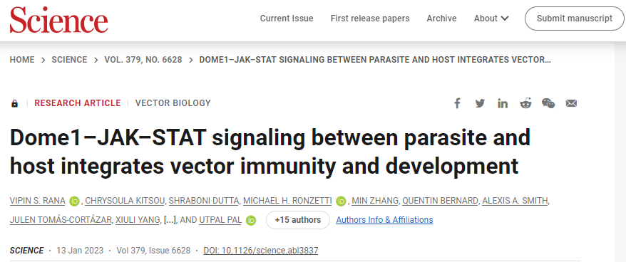 研究人員發(fā)現(xiàn)了宿主和節(jié)肢動(dòng)物寄生蟲之間的第一個(gè)物種間信號(hào)通路 研究人員發(fā)現(xiàn)了宿主和節(jié)肢動(dòng)物寄生蟲之間的第一個(gè)物種間信號(hào)通路