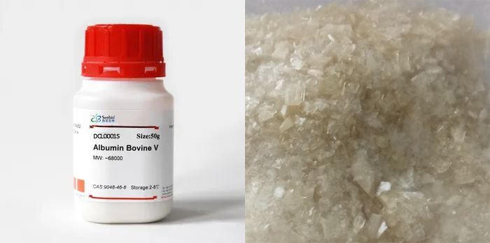 牛血清白蛋白，BSA，第五組分