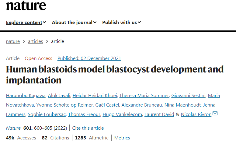 2021年研究團(tuán)隊(duì)利用人多能干細(xì)胞構(gòu)建了人胚泡樣結(jié)構(gòu)