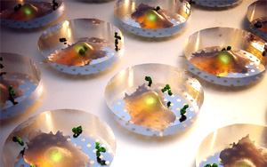 Nature子刊：實時蛋白質(zhì)分泌檢測技術(shù)