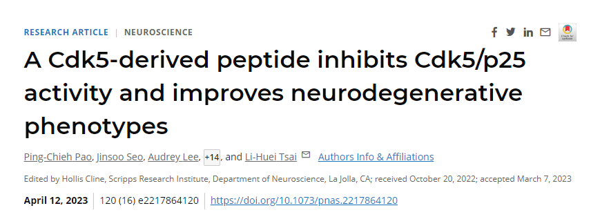 研究發(fā)現(xiàn)通過干擾阿爾茨海默病患者大腦中通常過度活躍的一種酶來逆轉(zhuǎn)神經(jīng)退行性變
