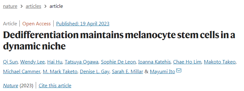 黑色素干細(xì)胞(McSCs)具有顯著的可塑性
