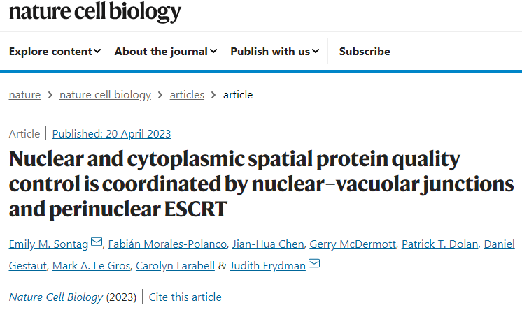 研究人員發(fā)現(xiàn)了一種細胞途徑可以清除細胞核中錯誤折疊的蛋白質(zhì)