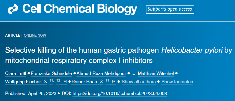 LMU的研究人員發(fā)現(xiàn)了幽門螺桿菌的一個(gè)弱點(diǎn)，可以用來開發(fā)新藥