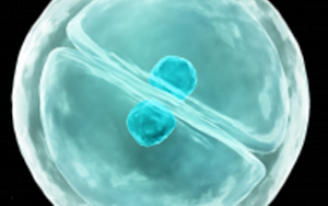 eLife：細(xì)胞真是“成精了”，它能模仿人類交流方式，一旦“關(guān)系”破裂，癌癥和糖尿病都找上門