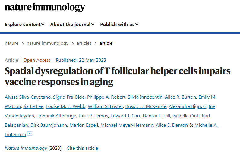 研究免疫反應(yīng)隨著年齡的增長(zhǎng)而變化的方式