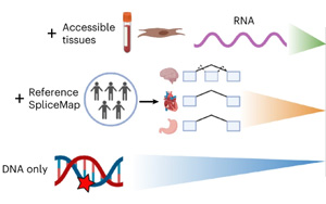 Nature Genetics：人類組織的異常剪接預(yù)測(cè)