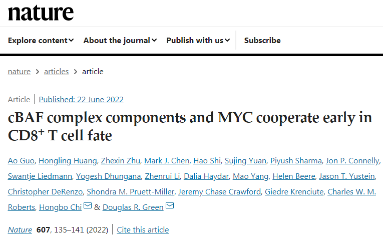 研究團(tuán)隊(duì)發(fā)現(xiàn)cBAF蛋白質(zhì)復(fù)合物可控制T細(xì)胞的命運(yùn) 研究團(tuán)隊(duì)發(fā)現(xiàn)cBAF蛋白質(zhì)復(fù)合物可控制T細(xì)胞的命運(yùn)