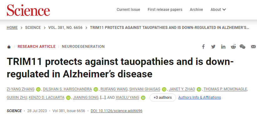 使用堿基編輯技術生成嵌合抗原受體(CAR) T細胞