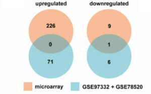 抑制肝癌轉(zhuǎn)移的新機(jī)制