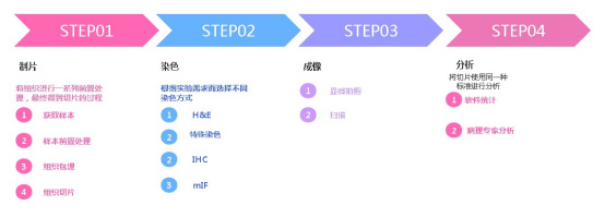 病理技術(shù)檢測(cè)服務(wù)流程