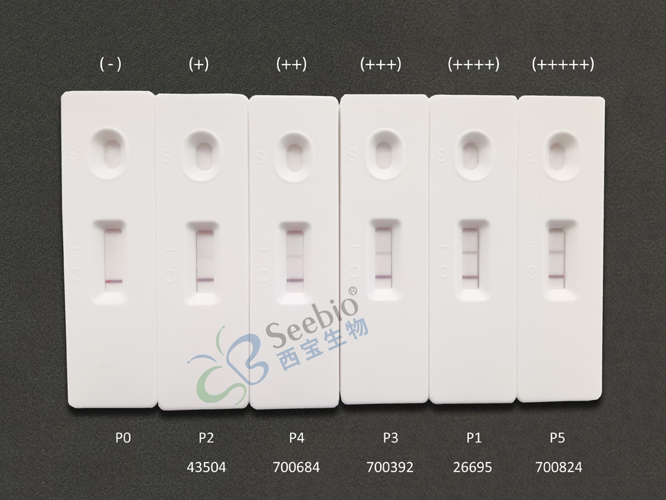 膠體金層析平臺(tái)測(cè)試示意圖