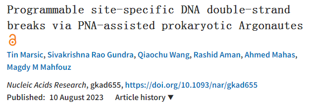 一項(xiàng)創(chuàng)新的基因組編輯技術(shù)用于特定位點(diǎn)的DNA操作 一項(xiàng)創(chuàng)新的基因組編輯技術(shù)用于特定位點(diǎn)的DNA操作