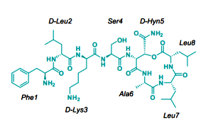 突破！可殺死耐藥菌的新型抗生素