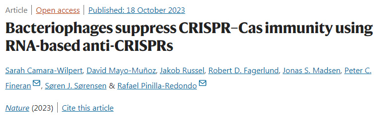 噬菌體使用基于RNA的抗CRISPR抑制CRISPR–Cas免疫