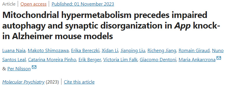腸道細(xì)菌產(chǎn)生的短鏈脂肪酸(SCFAs)負(fù)責(zé)啟動樹突細(xì)胞向腸腔延伸