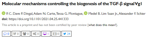 控制轉(zhuǎn)化生長(zhǎng)因子-β信號(hào)Vg1生物發(fā)生的分子機(jī)制