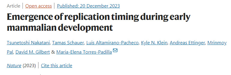 哺乳動物早期發(fā)育過程中復(fù)制時機的出現(xiàn)