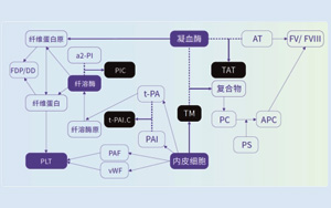 血栓調節(jié)蛋白（TM）-磁微?；瘜W發(fā)光法（AE/AP）解決方案