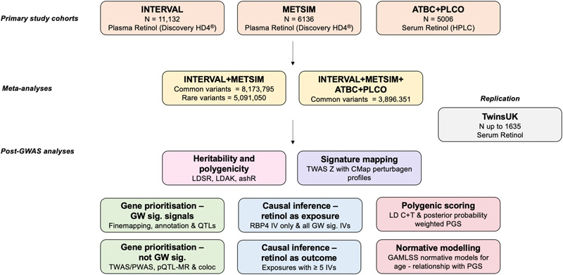 循環(huán)視黃醇全基因組分析研究設計綜述